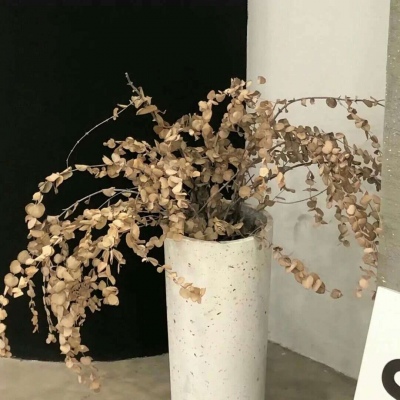 Furry绘画原创灵感FurryQQ群